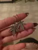 Изображение товара 3
