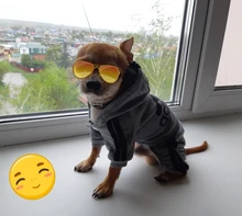Pet Dog Clothes Fashion Hoodie Spring and Summer For Dogs Coat Jacket Cotton Ropa Perro