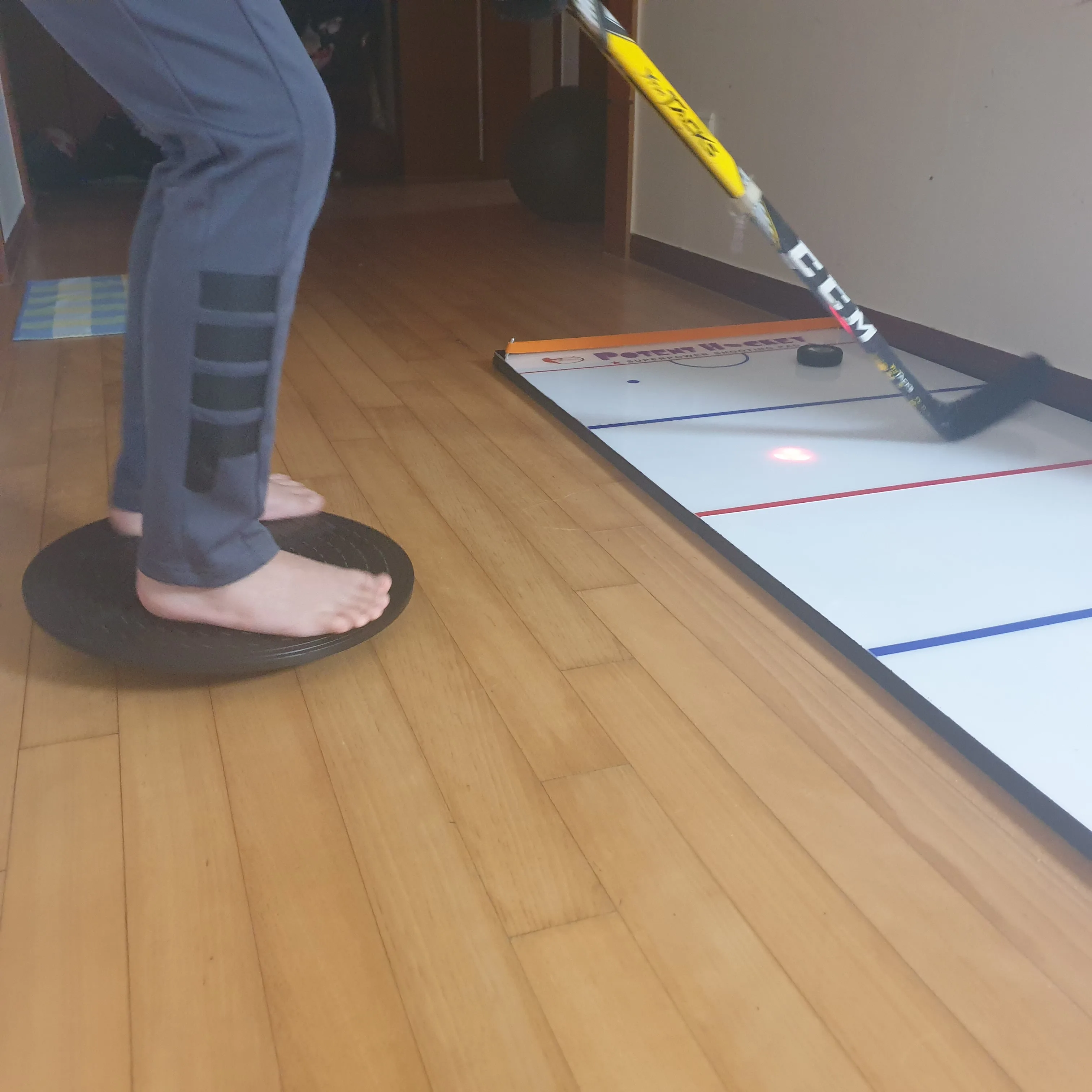 Ice Hockey Balance Board