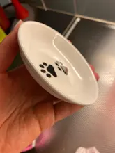 Hedgehog-Bowl Dish Snack-Plate Chinchilla Ceramics Small Cat Cute Cartoon Squirrel Saucer-Shape