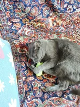 Teeth Grinding Catnip Toys Funny Interactive Plush Cat Toy Pet Kitten Chewing Vocal Toy