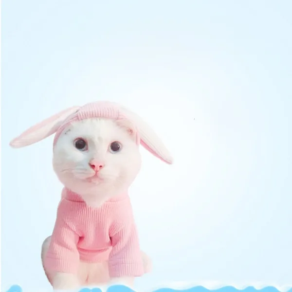 Sweatshirt chatjoli teddychienoreilles lapintaille's XL pink | Дом и сад