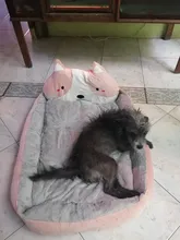 Dog-Beds Sofa Dogs-House Small Large Cute Kennel Dogs-Accessories Anti-Stress Animal-Shape