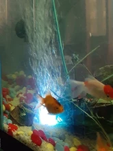 Fish-Tank-Light Air-Bubble-Light Aquarium Color-Changing Underwater Submersible LED Oxygen