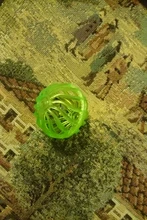 5pcs/Set Funny Cat Ball Toy Hollow Training Cat Interactive Toy Cat Bell Toy For Kitten