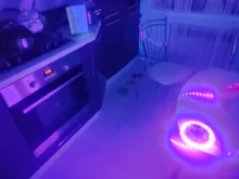 Tira de luces led impermeable para fiesta de fluorescencia, lámpara tipo cinta ultravioleta de 12V, de 395-405 nm, con luz negra 5050 2835 SMD, 60 led/m o 120 led/m ideal para DJ