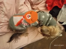 Dog Winter Sweater Pet-Dog Puppy-Cat Knitted Chihuahua for Small Clothing Ropa-Perro