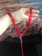 Leash-Set Harness Pet-Products Cat-Collar Adjustable Belt Dog Animals Kitten Nylon And