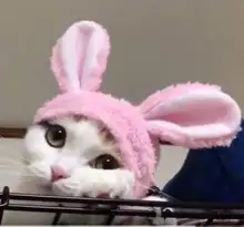 Agenda de papel A5 con puntos, tapa blanda de cuero, 160 páginas, papel blanco marfil, 100 GSM, cuaderno hecho a mano, 4,7