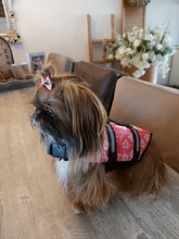 Chaleco Salvavidas para perro, chaqueta Salvavidas para mascota, ropa de seguridad, traje de baño para mascotas, Chaleco de seguridad para verano