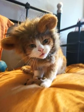 Disfraz de perro o gato Peluca de melena de León, gorro para gato, perro, ropa de Halloween y Navidad, vestido de lujo con orejas, ropa para mascotas