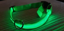 Collar LED fluorescente para perros, correa brillante de seguridad para la noche, de nailon, luminosa, accesorios para mascotas