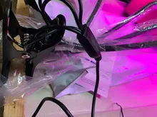 LED Grow Light USB Phyto Lamp Full Spectrum Grow Tent Complete Kit Phytolamp for Plants