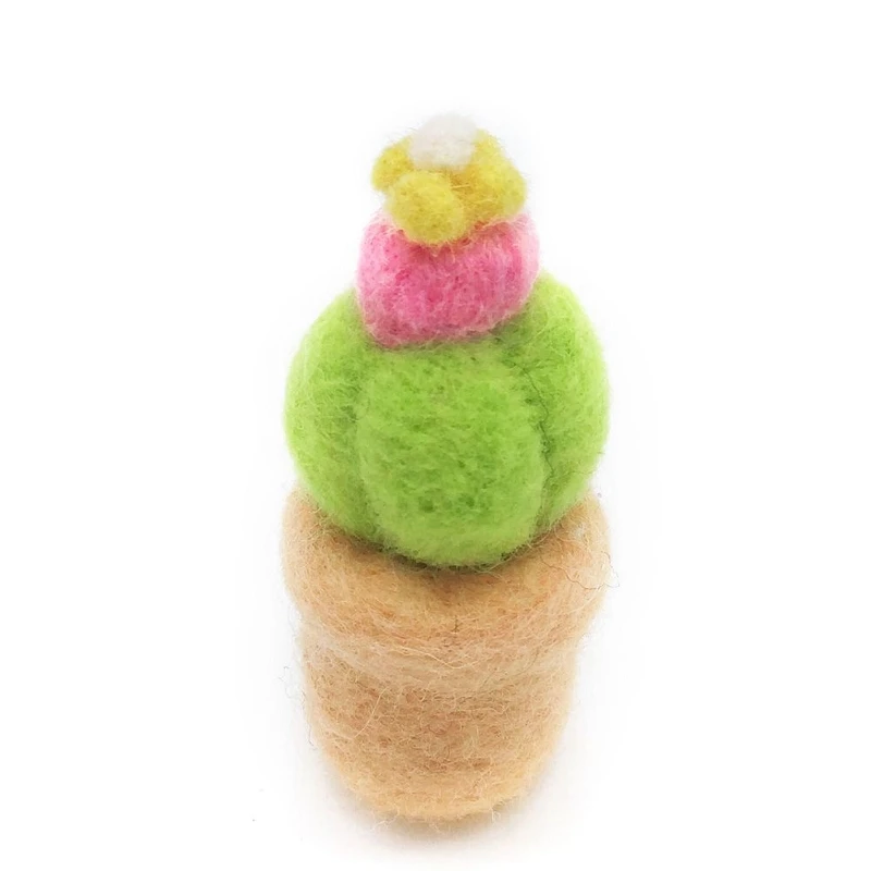

Needle Felting Kits Mini Cactus for Beginners, Felting Needles, Instruction, DIY Kit Wool Felting Craft Gift (A)
