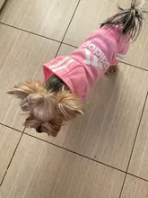 Traje para mascotas pequeñas y medianas, mono para cachorros, ideal para bulldog francés, chihuahua o pug