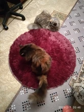 Round Rug Carpets Living-Room-Decor Modern-Mats Bedroom Faux-Fur Fluffy Shaggy-Area Long