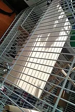 Misterolina loro cacatúa percha para pájaros soporte plataforma suministros aves jaula pequeña diaria de la casa mascotas colgante accesorios para mascotas T S8Q2