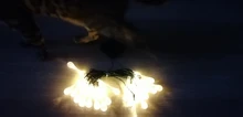 String-Lights Bulb Light-Lawn Solar-Lamp-Decoration Garden Outdoor Waterproof Christmas