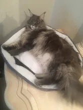 Mats Blanket Cushion Bed-House Sofa Pet-Beds Dog Animal Cute Basket-Supplies Cat Big