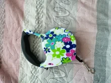 Correa retráctil de tracción automática para perros y gatos pequeños, correa de nailon para caminar, disponible en 11 colores, 3m y 5m