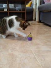 Bowl Feeder Food-Ball Tumbler Pets-Supplies Leakage Feeding-Toys Training Cat Exercise