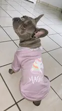 Cute Pet Dog Clothes Puppy sweater T-shirt Shirt Cute Rainbow printing Pajamas Cat 