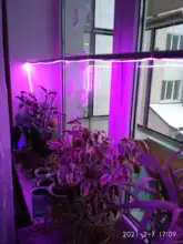 LED Grow Light Full Spectrum 5V USB Grow Light Strip 2835 LED Phyto Lamps For Plants
