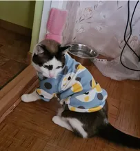 Estampado de conejo disfraz mascota gato para gatos de Kedi Katten Sudadera con capucha Primavera Verano gato traje de ropa de mascotas ropa para gato