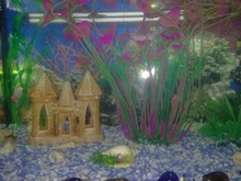 Aquarium Decorative Grass-Plant Fish-Tank Simulation PVC Environmental-Protection-Materials