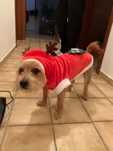 Christmas Dog Clothes Small Dogs Santa Costume for Pug Chihuahua Yorkshire Pet Cat Clothing