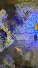 Luz RGB para acuario, lámpara de buceo con control remoto de 18-59cm, lámpara colorida de 90-260v, para plantas, pecera, uso con anfibios esenciales