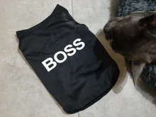 Pawstrip-ropa de verano para perro, camisa para perro, oso, Yorkie, Bulldog, chaleco para perro pequeño, playera para mascota, ropa para cachorro