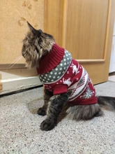 Fashion Pattern Clothes for Cats Cute Reindeer Sweater for Sphinx Cat Winter Warm Costume