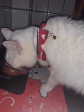 Grooming-Accessories Towel Scarf Necklace Collars Decor Cat Dogs Saliva Adjustable Plush