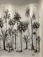 3d Wallpaper Mural Sofa-Background-Walls Rainforest Tropical Sketch Nordic Black White