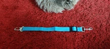 Lead-Leash Car-Seat-Belt Pet-Supplies Travel-Clip Adjustable-Harness Pet-Dog-Cat Dogs