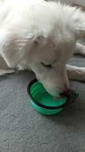 Recipiente de silicona plegable para mascotas, cuenco grande de 1000ml, portátil, para viaje al aire libre, contenedor de comida para cachorros