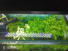 Led-Lighting Aquarium Chihiros Fish-Tank Aquatic-Plant Sunsun Ade Nicrew SMD 18W 220V