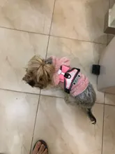 Pet-Supplies Harnesses-Vest Dog-Accessories Pitbull Dogs Reflective Pug Bling Medium