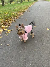 Coat Outfit Pets-Clothing Small Dogs Warm Chihuahua Winter Yorkshire Puppy Schnauzer