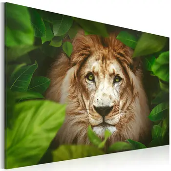 

Picture-eyes jungle-60x40 cm