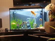 Aquarium-Decoration Statue Terrarium Island-Stone Resin Ornament Easter Fish-Tank Home-Decor