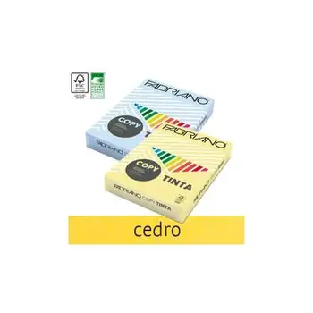 

A4 copy paper dye 160gr 250fg col. Soft Cedar fabrianoFABRIANO32.37