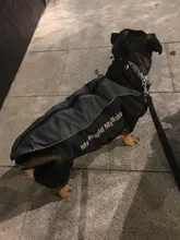 Jacket Vest Pet-Dog-Coat Dogs French Bulldog Waterproof Large Winter for Big Autumn Warm