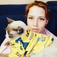 Cartoon Cat Hoodie Sweater Autumn Winter Pet Cat Clothes for Cats Katten Kedi Pullovers