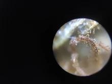 Microscopio portátil de bolsillo, lupa de aumento de joyería plegable, luz LED para lámpara, 40X 80X 100X