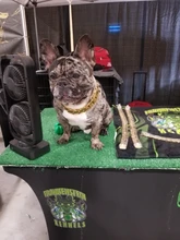 Dog-Chain-Collars Bulldog Pet-Training Stainless-Steel Metal Silver Strong for Large