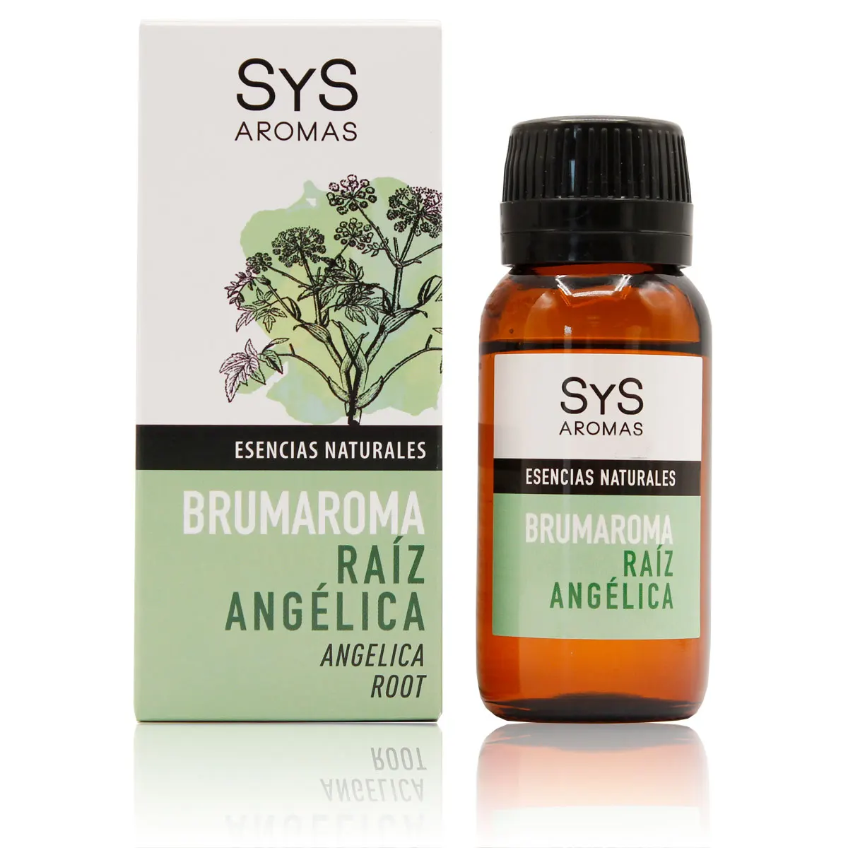 Laboratorio Sys, Essenza, Radice Di Angelica, 50Ml, Aromaterapia, Diffusore Di Aromi, Umidificatore, Deodoranti Elettrici Per La Casa