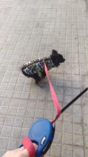 Chaqueta para perro impermeable de invierno, diseño de camuflaje, chaqueta de perro pequeño, Chihuahua, Yorkie, tienda de mascotas, XS-L