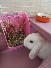 Rabbit Guinea Pig Chinchilla Hay Feeder Less Wasted Pet Feeding Rack Feeding Bowl For